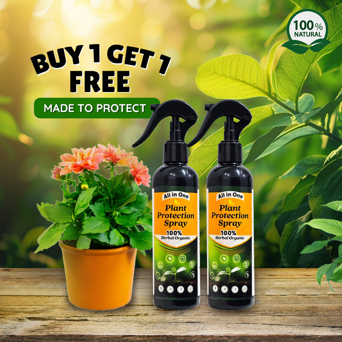 LeafGuardâ„¢ - All in One Plant Protection Spray ðŸŒ¿ðŸ›¡ï¸(Buy 1 Get 1 FreeðŸ”¥ðŸ”¥)